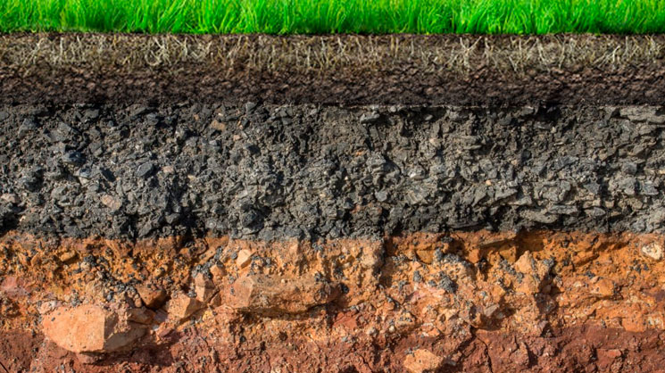 Анализ почвы — важный элемент управления питанием растений. Часть первая