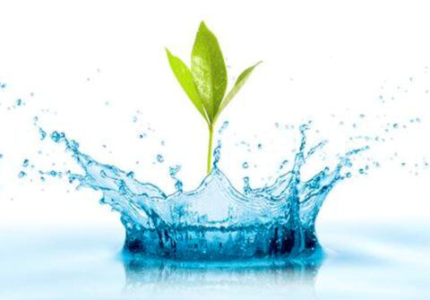 Качество и состав поливной воды